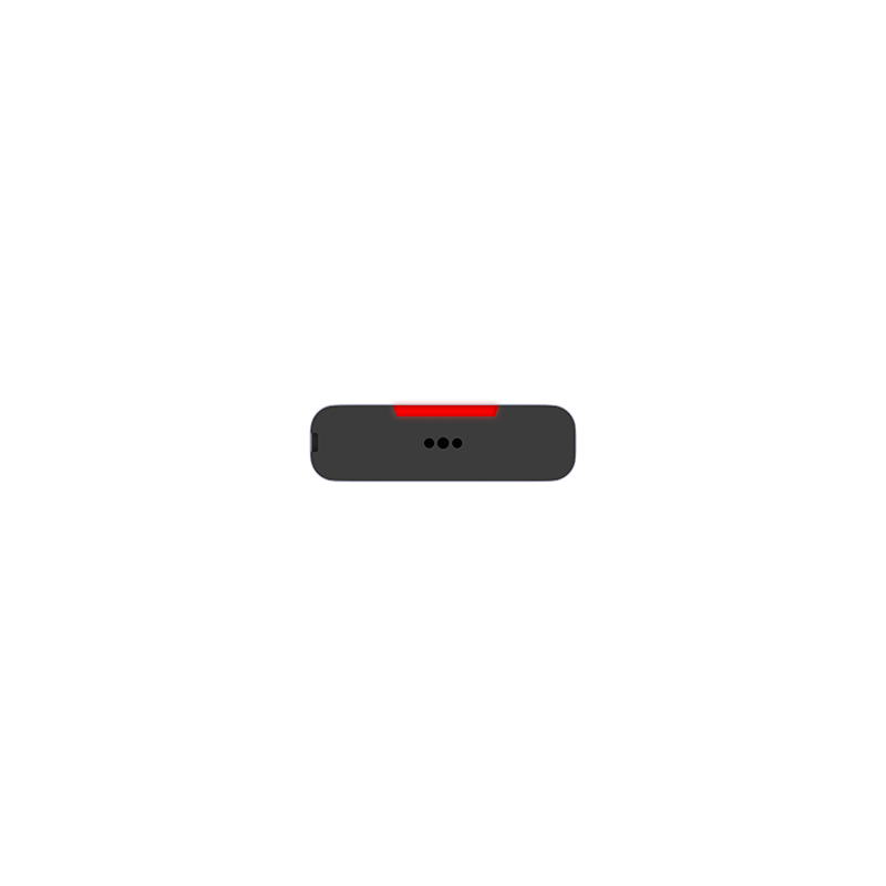 Voice recorder